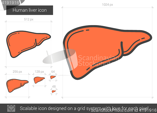 Image of Human liver line icon.