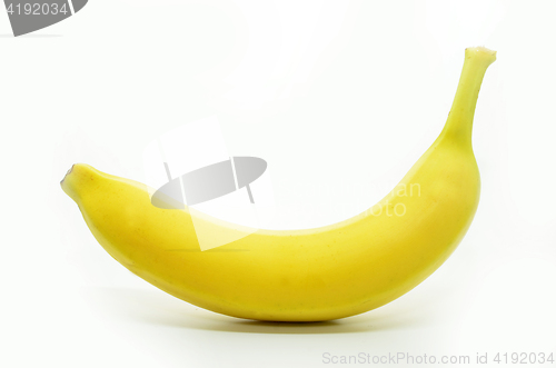 Image of Fresh and organic banana