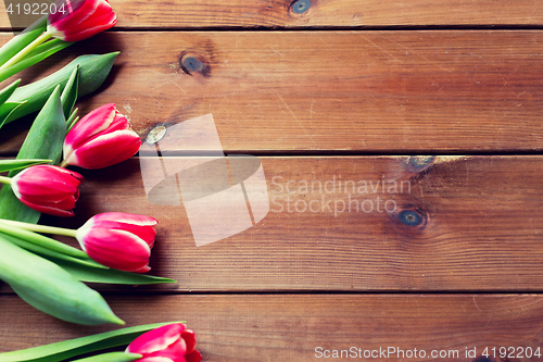 Image of close up of tulip flowers on wooden table