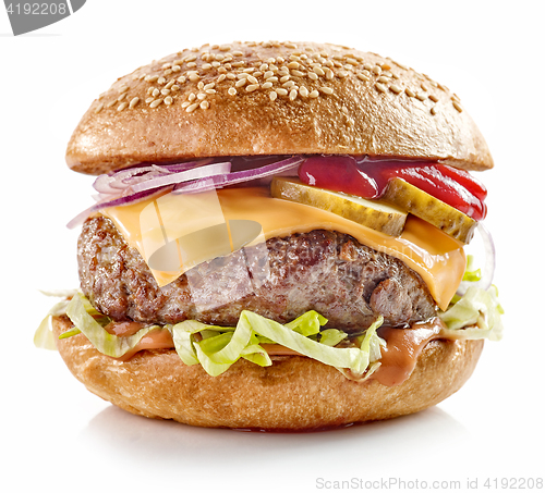 Image of fresh tasty burger