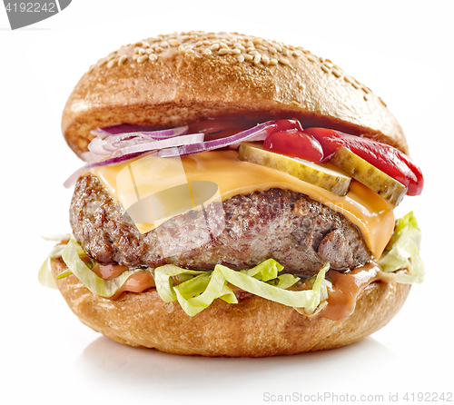 Image of fresh tasty burger