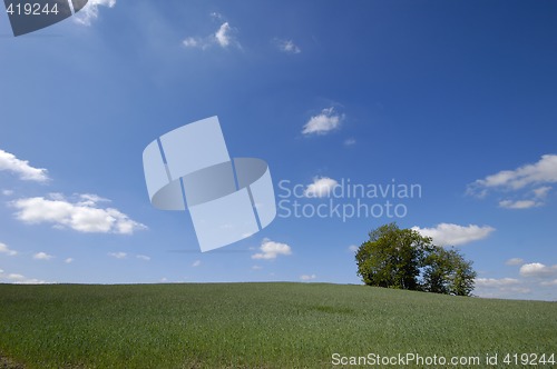 Image of Landscape with a tree