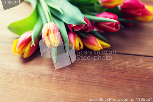 Image of close up of tulip flowers on wooden table