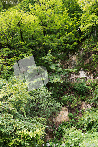 Image of Mountain slope overgrown with plants