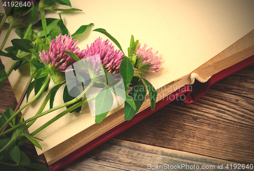 Image of clover flowers and old album