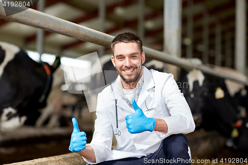 Image of veterinarian and cows in cowshed on dairy farm