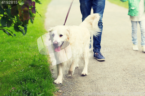 Image of close up of family with labrador dog in park