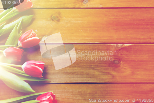 Image of close up of tulip flowers on wooden table