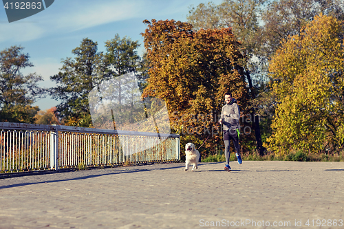 Image of happy man with labrador dog running outdoors