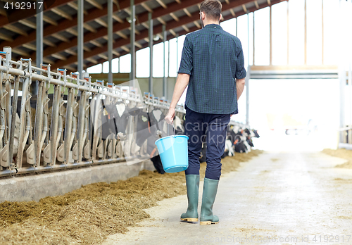 Image of man with bucket walking in cowshed on dairy farm