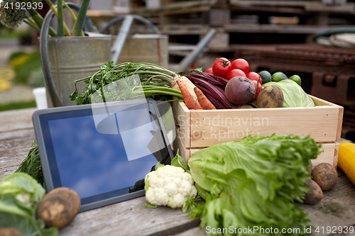 Image of close up of vegetables with tablet pc on farm