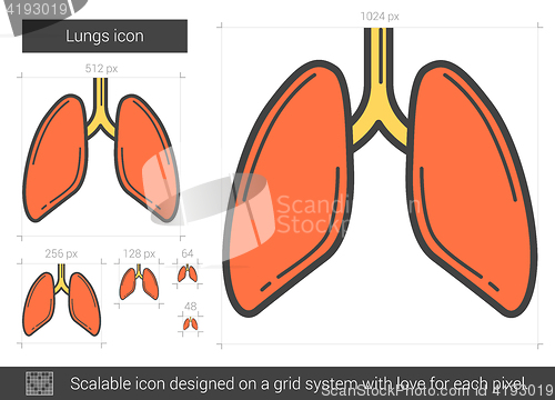 Image of Lungs line icon.