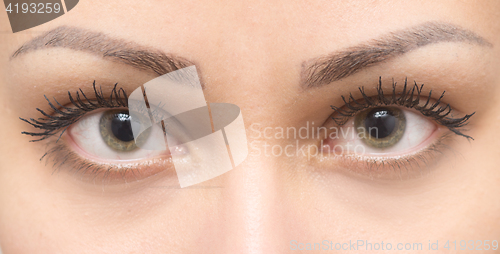 Image of beautiful woman eyes