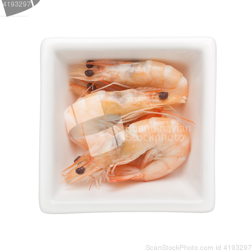 Image of Cooked prawn