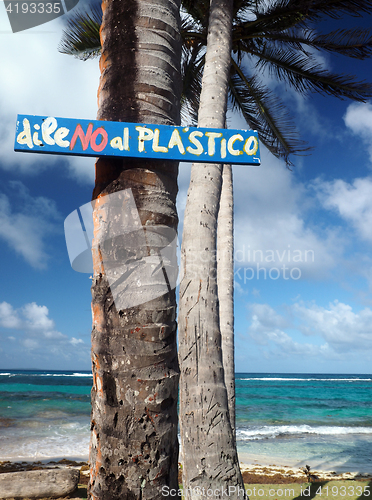 Image of sign coconut palm tree saying \"leave no plastics\" on Sally Peach