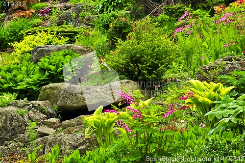 Image of Rock garden