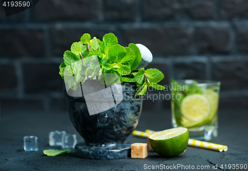 Image of fresh mint