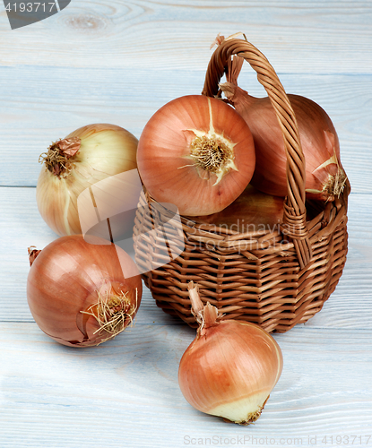 Image of Ripe Golden Onions