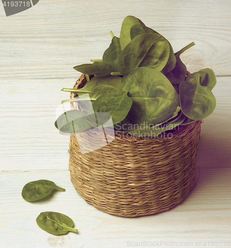 Image of Raw Spinach Leafs