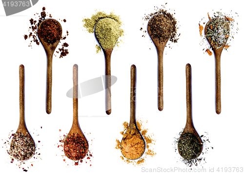 Image of Collection of Spices in Wooden Spoons