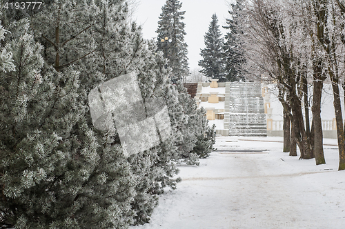 Image of City park in the winter, the trees covered with hoarfrost