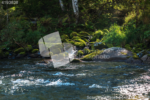 Image of Fast mountain river in Altay