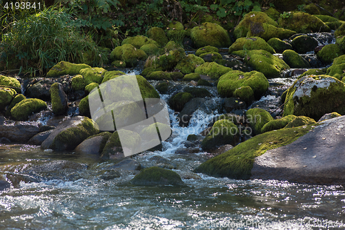 Image of Fast mountain river in Altay