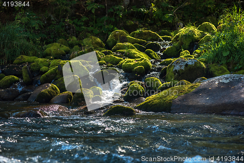 Image of Fast mountain river in Altay