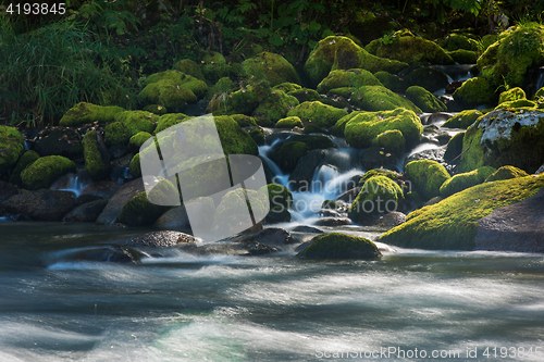 Image of Fast mountain river in Altay