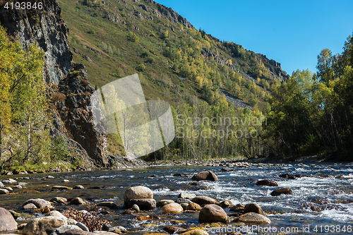 Image of Fast mountain river in Altay