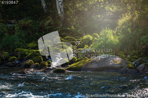 Image of Fast mountain river in Altay