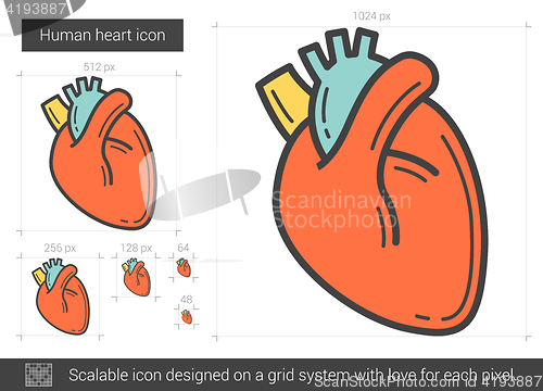 Image of Human heart line icon.