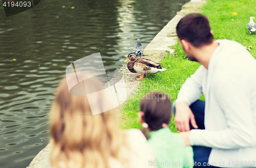 Image of family looking at duck at summer pond in park