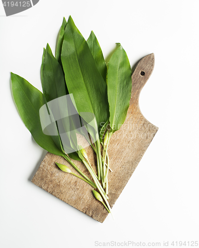 Image of Wild garlic