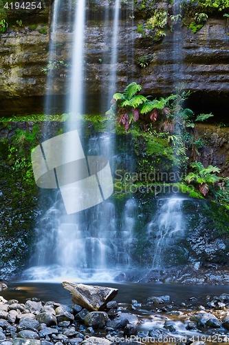 Image of Waterfall in the forest