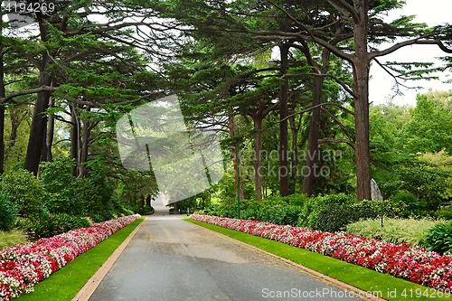 Image of Green park with trees