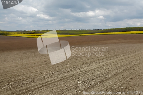 Image of Agircutural field with brown soil