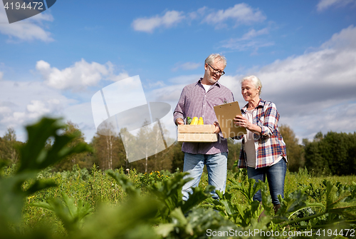 Image of happy senior couple with squashes at farm