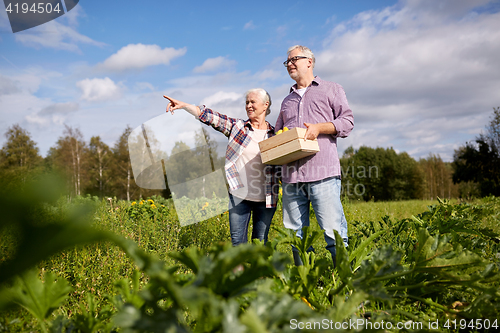 Image of happy senior couple with box of squashes at farm