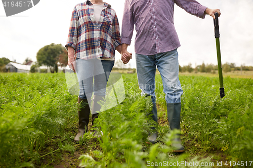 Image of happy senior couple at summer farm