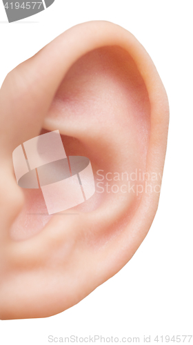 Image of human ear