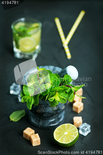 Image of fresh mint