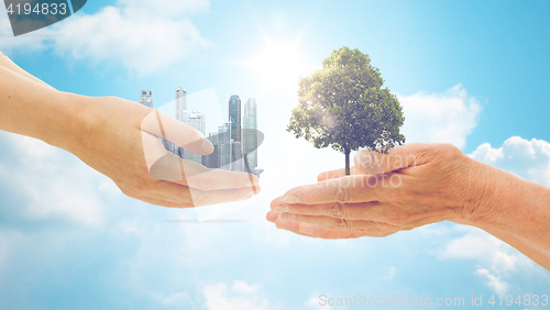 Image of hands holding green oak tree and city buildings