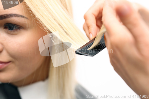 Image of Hairdresser combing woman