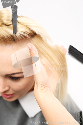 Image of Hairdressing Hairdresser combing woman