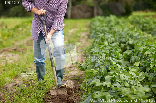 Image of senior man with shovel digging garden bed or farm