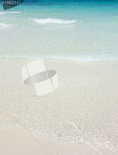 Image of tropical beach
