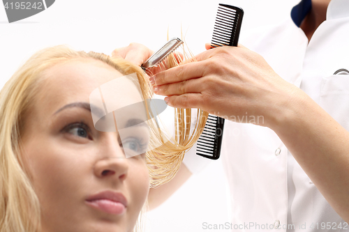 Image of In the hair salon, haircut