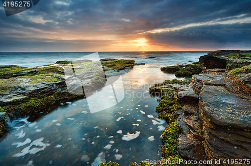 Image of Summer morning at North Narrabeen reef