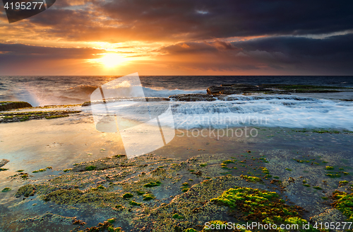 Image of Low tide at Narrabeen